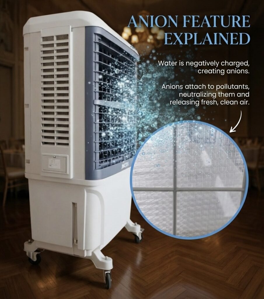 Anion Feature Explained